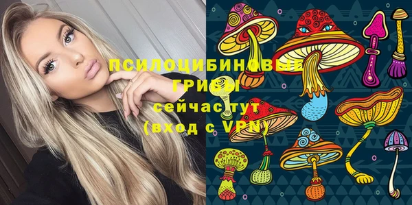 ГАЛЛЮЦИНОГЕННЫЕ ГРИБЫ Аркадак