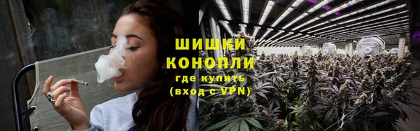 ГАЛЛЮЦИНОГЕННЫЕ ГРИБЫ Аркадак