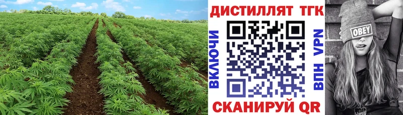 ТГК THC oil Чапаевск